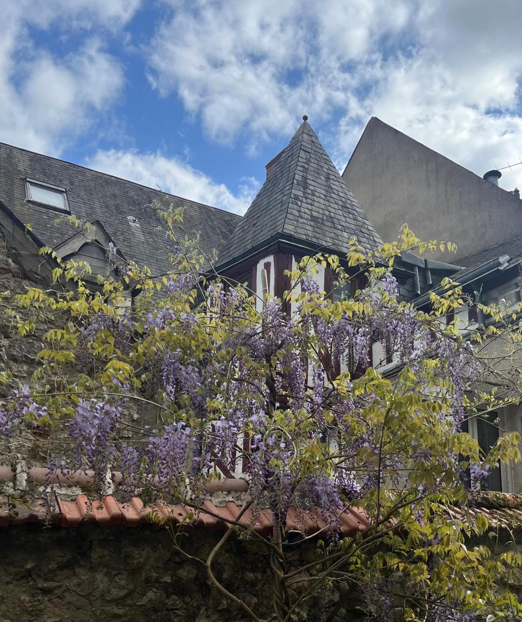 Chatel Rose - Historical Centre With Garden Blois Zewnętrze zdjęcie